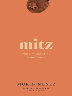 Mitz - ebook